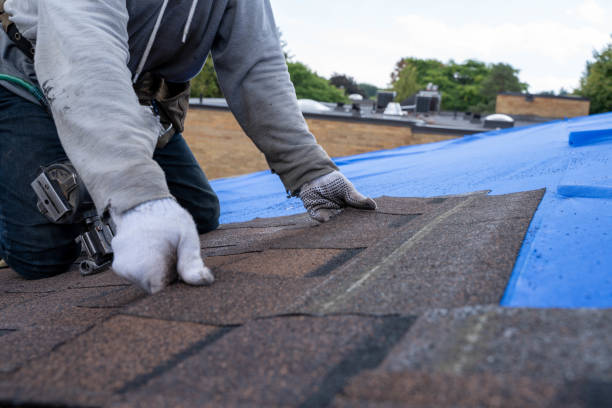 Best Roof Replacement Cost  in Cannelton, IN