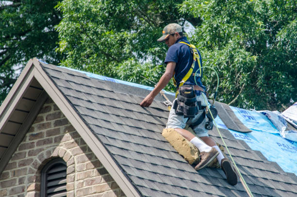 Best Storm Damage Roof Repair  in Cannelton, IN